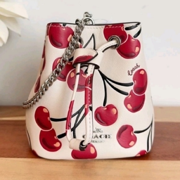 NWT Coach Cream Leather Mini Bucket Bag with Red Cherry Print - Picture 3 of 15